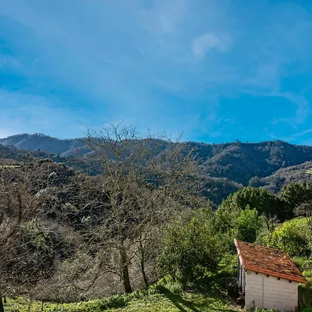 El Colmado
